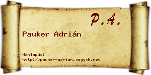 Pauker Adrián névjegykártya